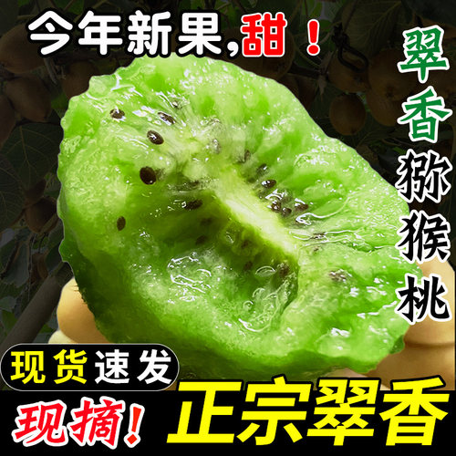 【周至正宗翠香猕猴桃】产地直发
