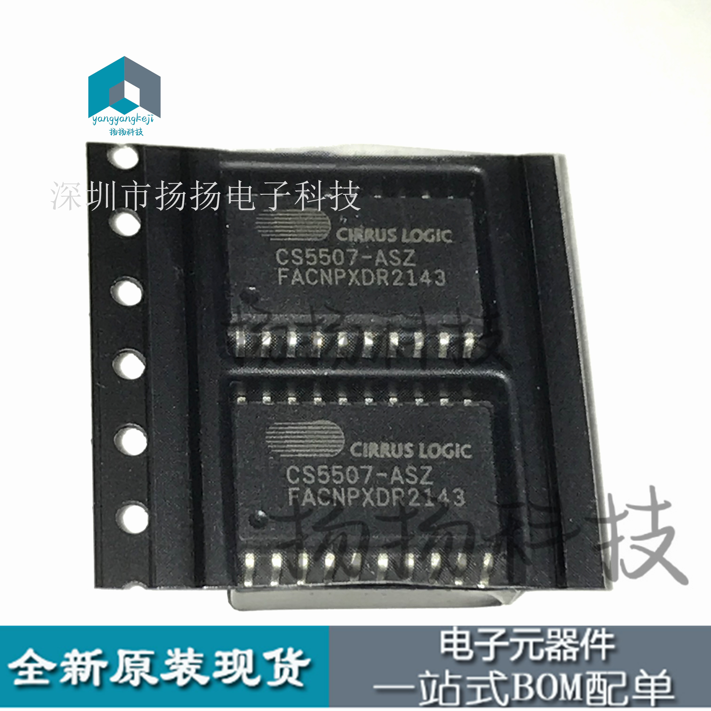 CS5507  CS5507-ASZ SOP20封装 音频编解码器芯片 全新原装进口