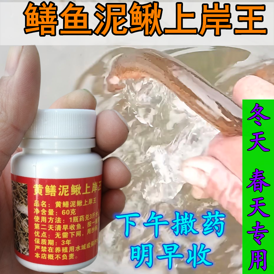 冬春季节逮鳝鱼专用上岸王一瓶管一亩下午撒药清早收操作简单,户外/登山/野营/旅行用品,鱼饵添加剂,淘宝优惠券,粉丝福利购,淘宝优惠卷