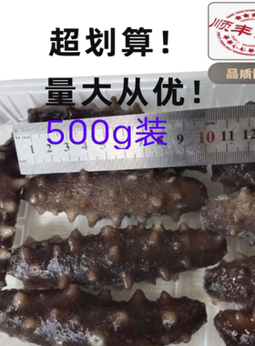 正宗辽参8A刺参海参口感包邮