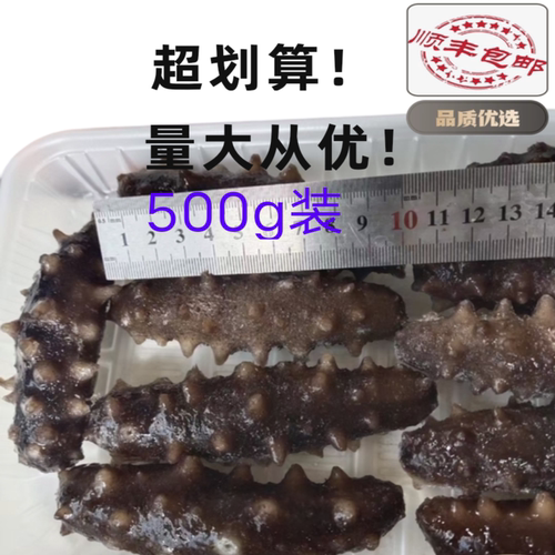 正宗辽参8A刺参海参口感包邮