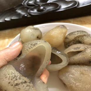 优质水发珍珠球参天然野生球参滋补冷冻水产生鲜佛跳墙原材料