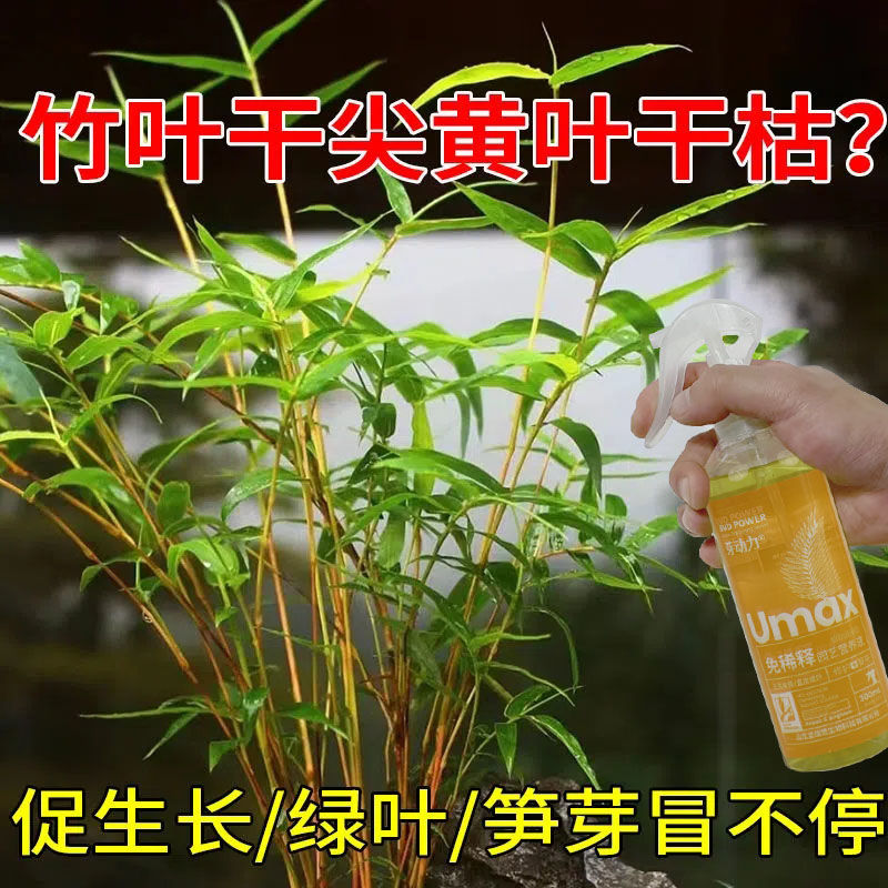 竹子营养液免稀释治黄叶干枯掉叶促生长发新芽红竹米竹观音竹肥料