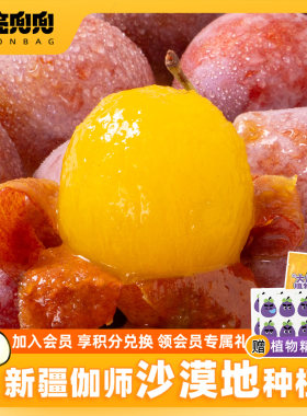 月亮兜兜 新疆西梅鲜果喀什伽师新鲜当季整箱法兰西3斤装时令水果