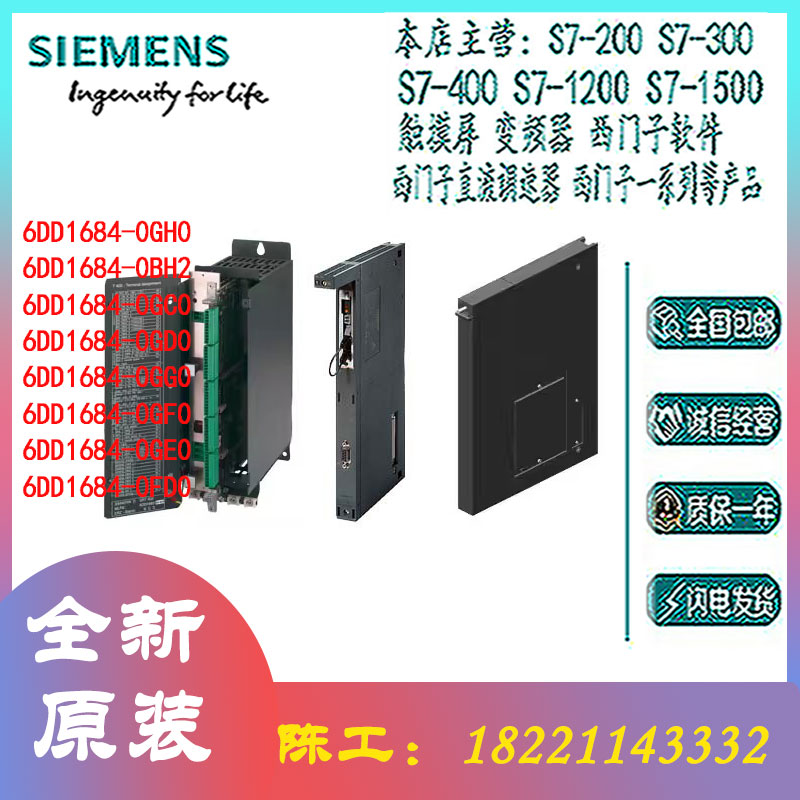 SIEMENS/西门子6DD模块