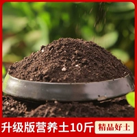 Модернизированная версия питательной почвы 10 фунтов