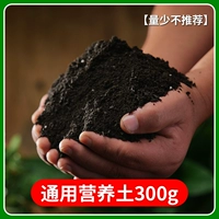 GM 300G Отправить [рекомендуется 40 фунтов на небольшую сумму]