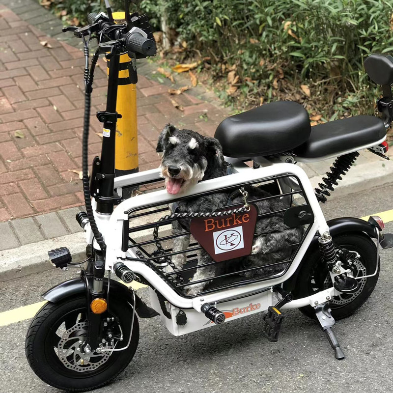 新国标小型迷你电动自行车亲子遛狗带娃宠物电瓶车锂电瓶单车折叠