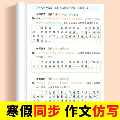 小学生寒假同步作文仿写
