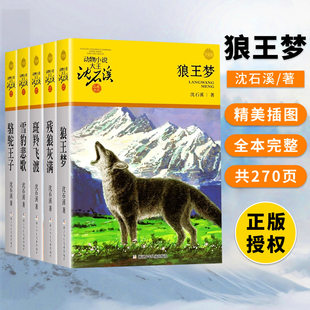狼王梦正版沈石溪动物小说大王品藏书系童书升级版全套36册任选斑羚飞渡第七条猎狗9-10-12岁小学生四五六年级课外书经典故事书目
