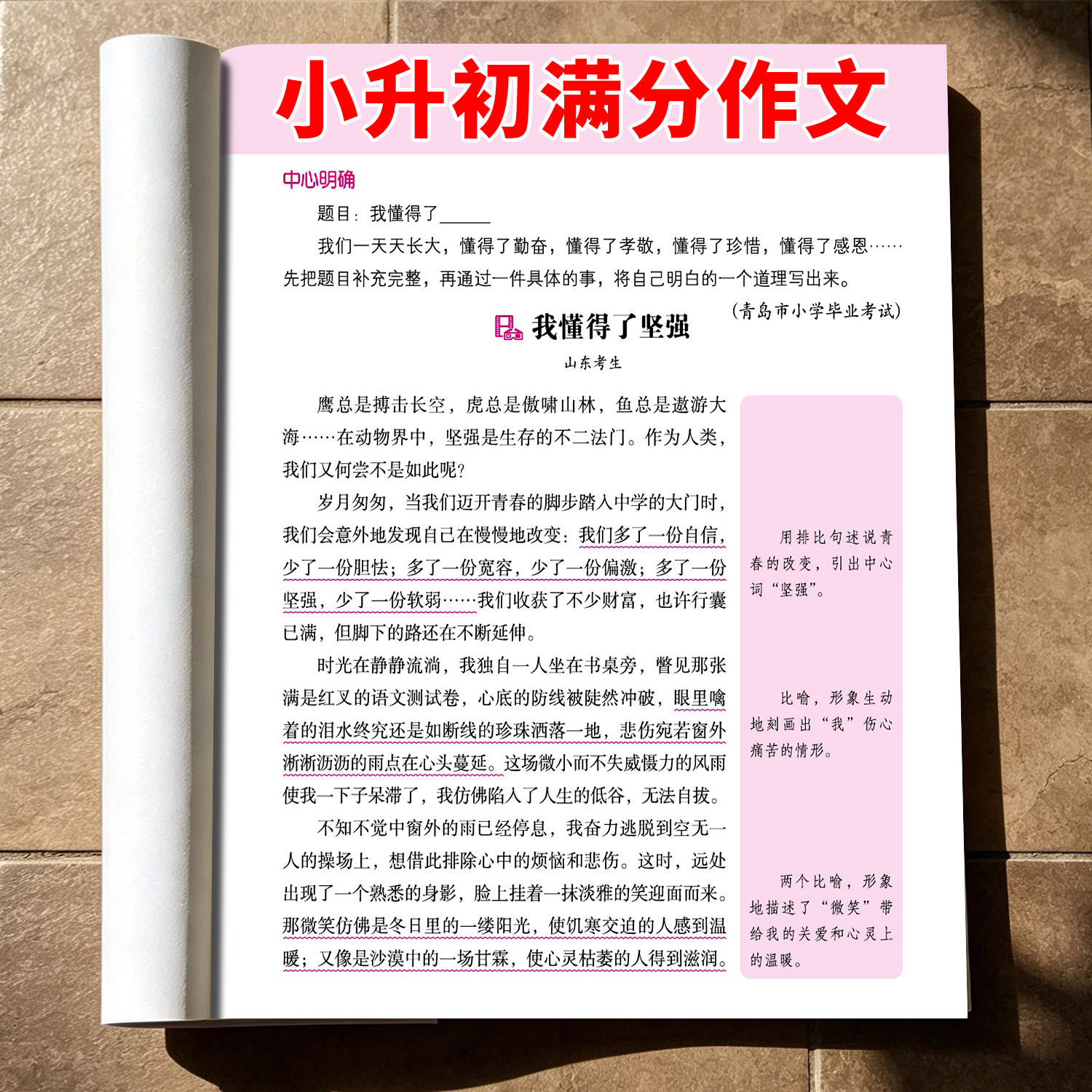 2027适用小升初满分作文一本全人教版小学生六年级下册上册作文书大全适用小学升初中优秀同步作文精选素材语文专项训练总复习分类