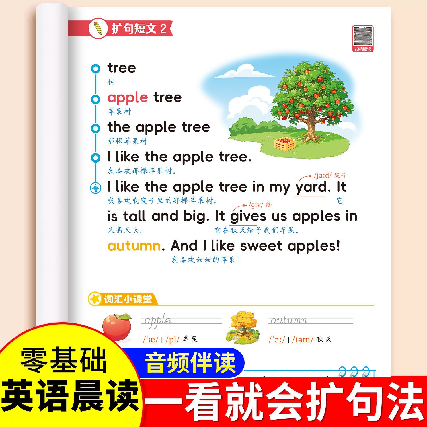 英语扩句法晨读美文零基础入门