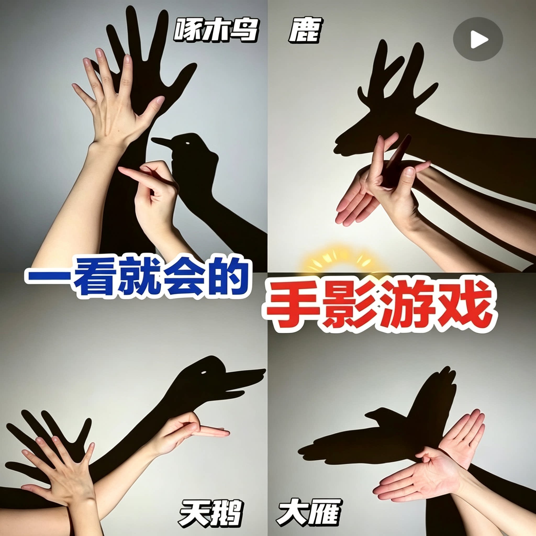 亲子手影游戏教程鸟兽造型手势投影分步学习指南