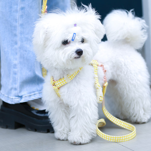 PETDORA胸背带背心式脖圈遛狗绳