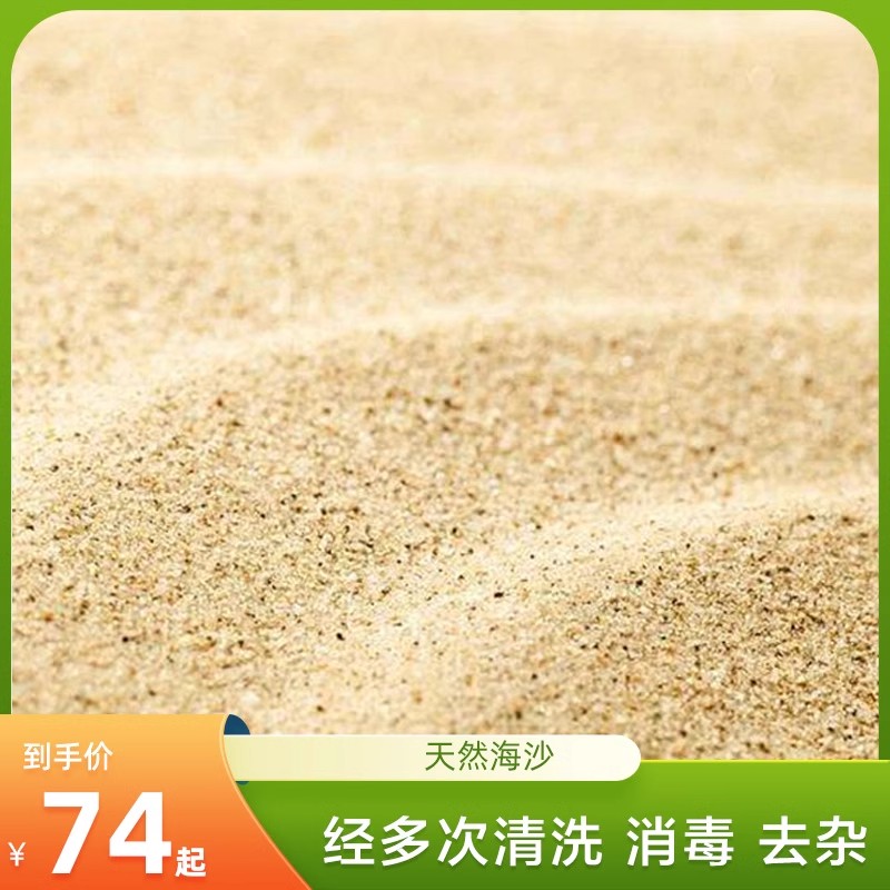 心理沙盘专用海沙高温消毒沙盘