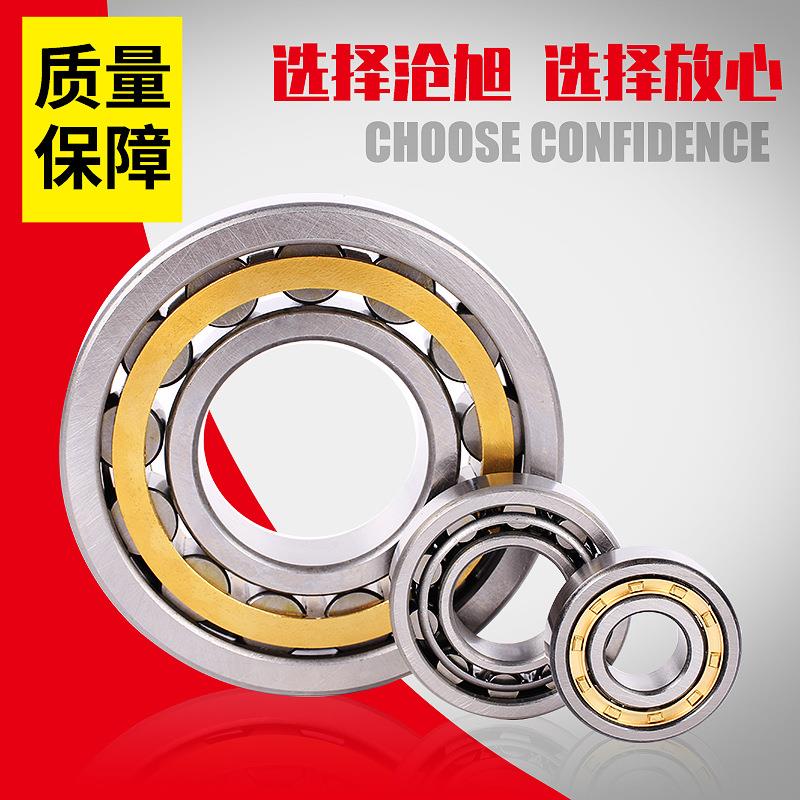 圆柱子轴承单滚列双列黄铜保持器N20950J6EMU2N08EM圆柱滚子轴承