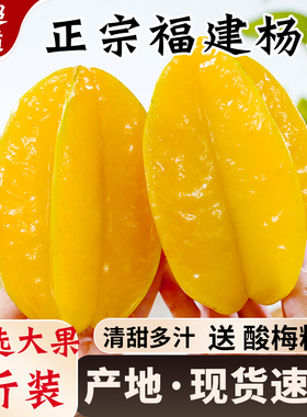 福建漳州甜杨桃新鲜水果当季整箱洋桃鲜果红龙扬桃五角星阳桃