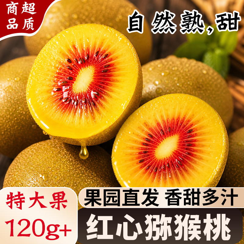 当季热销正宗四川红心猕猴桃甜