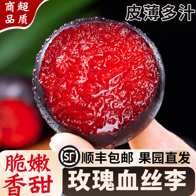 热销爆款玫瑰血丝李香甜多汁