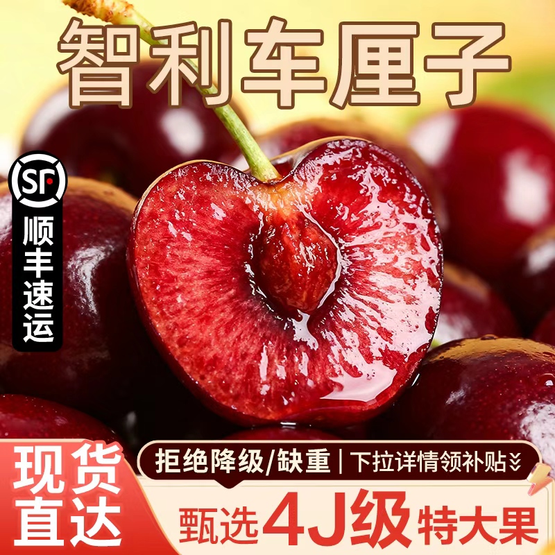 【现货】智利车厘子5斤34j顺丰