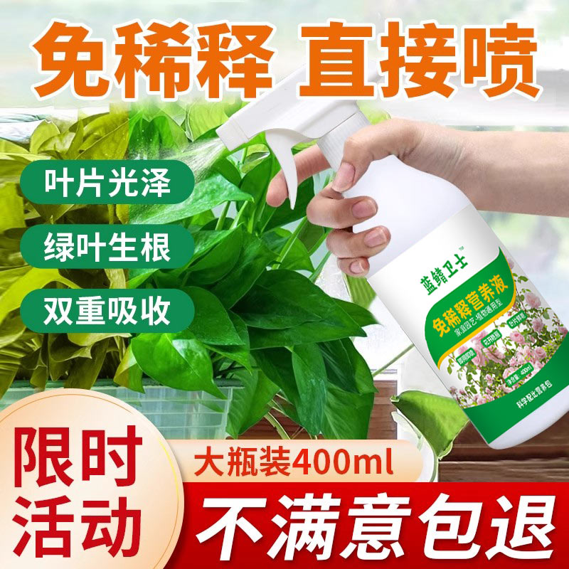 绿萝专用营养液防黄叶通用型