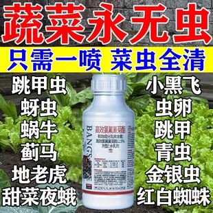 蔬菜杀虫剂无毒菜园农专用青菜油菜杀虫药蚜虫跳甲蜗牛青虫卵双杀