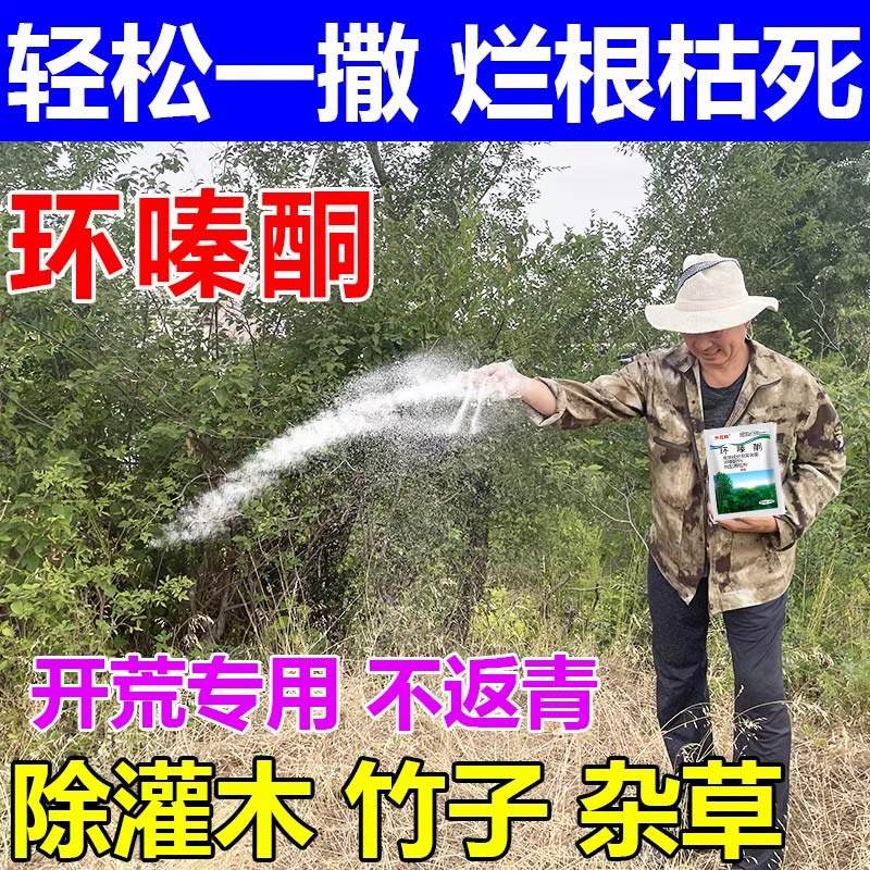 环嗪酮除草烂根剂除灌木灭乔灌环嗪哃烂根杀竹剂烂根除草剂专用药,农用物资,农用/环境用卫生农药,淘宝优惠券,粉丝福利购,淘宝优惠卷