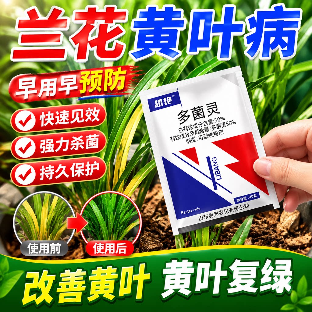 兰花黑斑病专用药杀菌剂治兰花黄叶焦尖营养液软叶斑腐烂根百菌灵图片