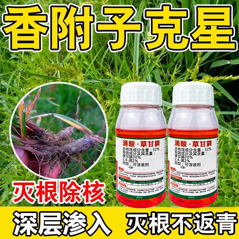 香附子专用药专杀香附子除草烂根剂甘蔗地杂草克星正品农药除草剂