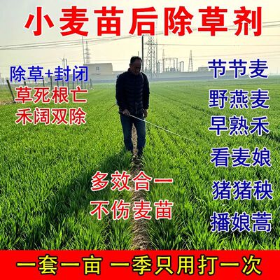 小麦苗后除草剂六效合一
