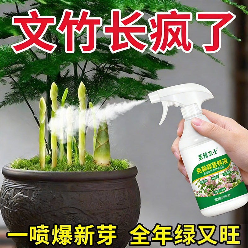 猛爆芽】新款文竹营养液专用肥催嫩芽促绿叶专治发黄干尖枯瘦烂根,鲜花速递/花卉仿真/绿植园艺,家庭园艺肥料,淘宝优惠券,粉丝福利购,淘宝优惠卷