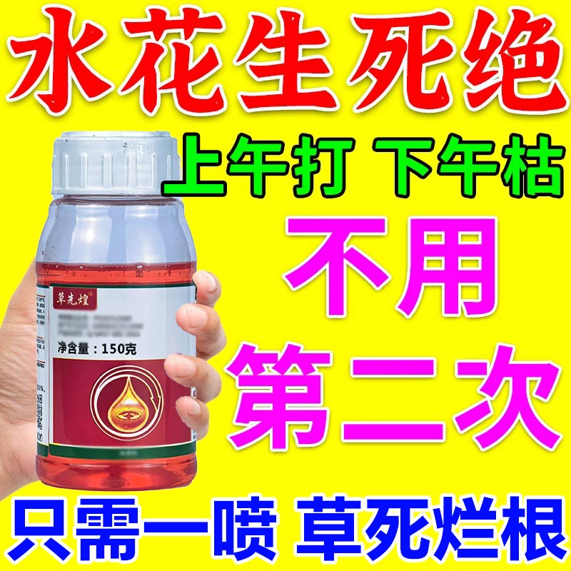 水花生克星烂根剂强力除草专用药一扫光不伤苗革命莲子水葫芦专杀