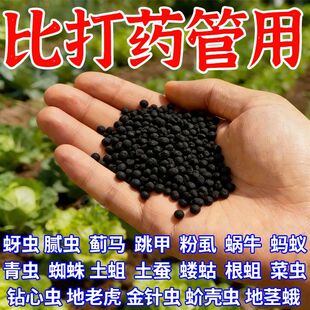 联苯噻虫胺颗粒剂地上地下虫害农药地老虎蜗牛金针虫蝼蛄黄条跳甲