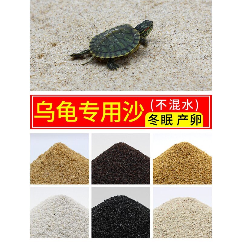 乌龟专用细沙龟沙产卵冬眠孵化下蛋爬宠鱼缸底砂造景水草装饰沙子图片