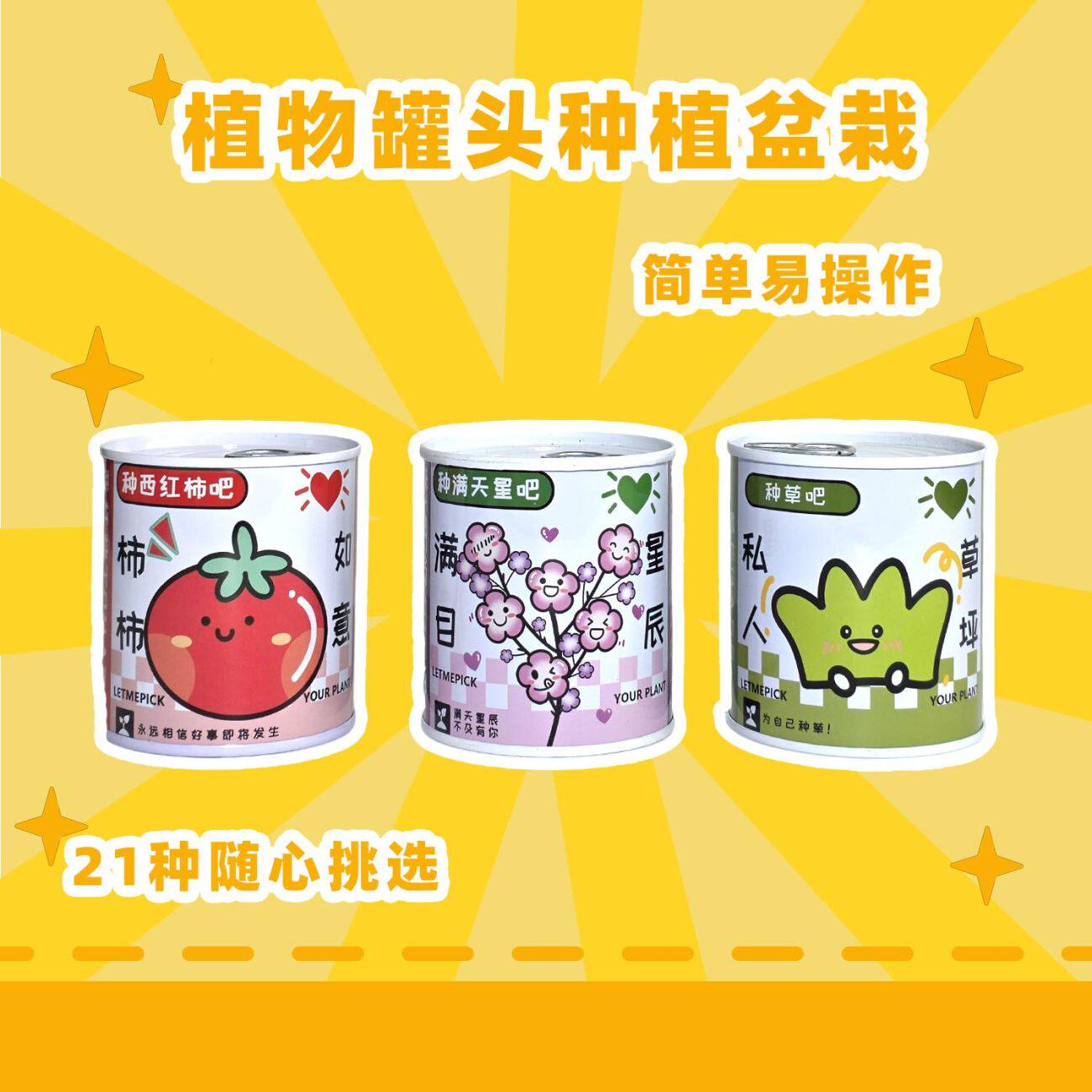 万人加购网红罐装种植小