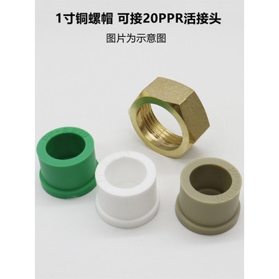 ppr置过滤器活接头塑料P前PR活接片水管修件铜配活接维球阀替换头