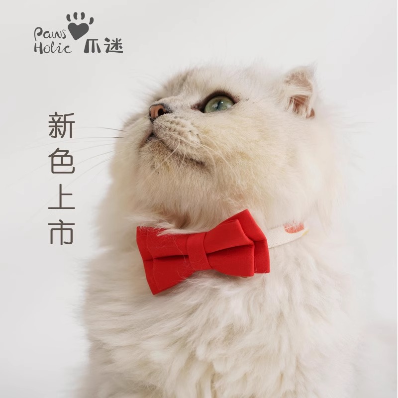 猫领结项圈安全扣脖圈防丢
