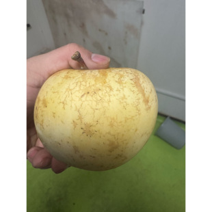 奶油富士 1比1 粉丝福利 酸甜口 只有100箱 7到9个果王