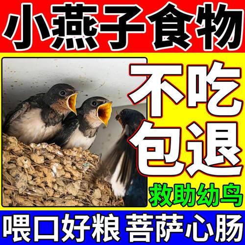 燕子食物幼鸟崽救助饲料燕科家燕灰燕鸻凤头雨燕吃的粮食面包虫干