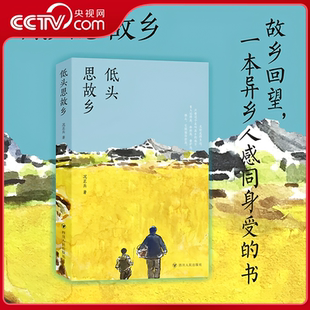 【央视网】低头思故乡 第一人称视角关于故乡人故土事的回忆SR与不可能和解与平凡相拥 致每一个努力生活的人致无人理解的你