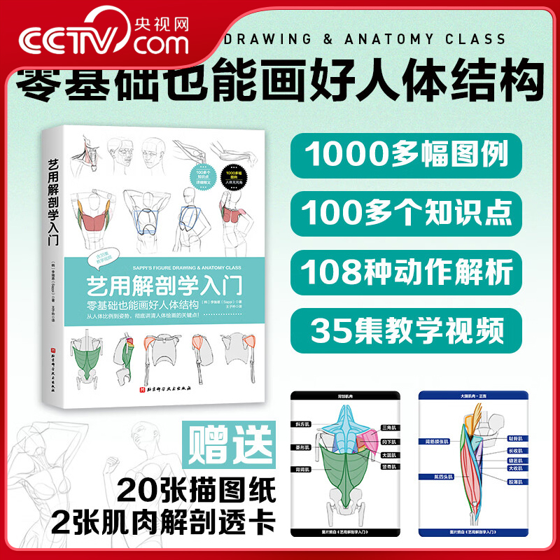 【央视网】艺用解剖学入门 王子衿 主译 零基础也能画好人体结构 专为绘画零基础学习者打造的人体绘画解剖学指南 BJ