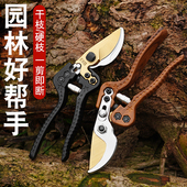 V2园林剪花剪树枝专用剪刀修枝剪果树剪花园剪林园剪艺剪子日本