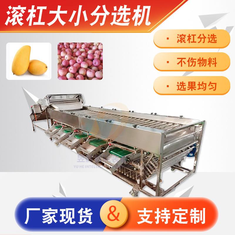 滚杠式樱桃车厘子葡萄大枣核桃分选机 全自动变距滚杠式筛选设备
