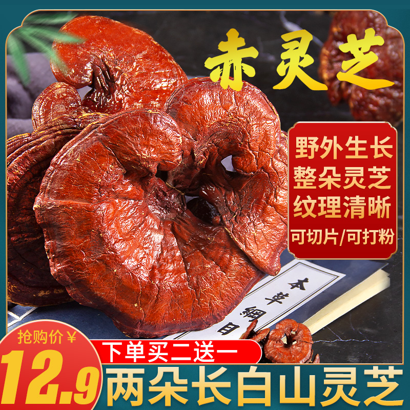 长白山正品灵芝野生干货整枝赤灵芝整朵林芝泡酒茶煲汤专用可切片
