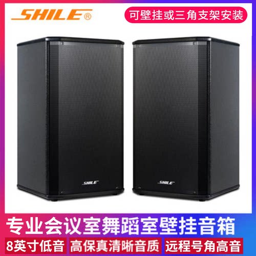 狮乐 BX-108会议室音响大功率壁挂音箱培训室教室家庭用KTV主持