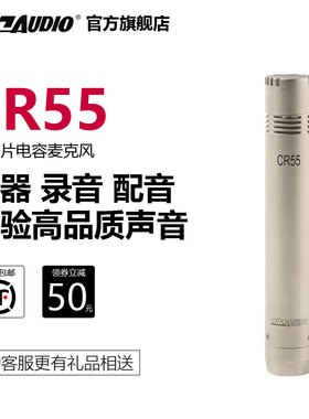 797audio CR55 小振膜人声乐器录音麦克风吉他二胡话筒北京797