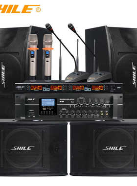 狮乐（SHILE）AV106/BX103/SH10套装培训室舞蹈室背景音乐音响