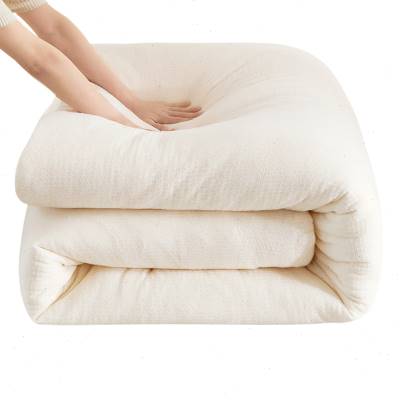 新疆棉被纯棉花被芯冬被保暖棉絮胎床垫单人学生宿舍垫被褥子被子