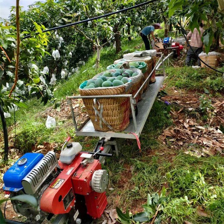 山地单轨大棚果园单轨运输车田间运输车汽油农用装载车