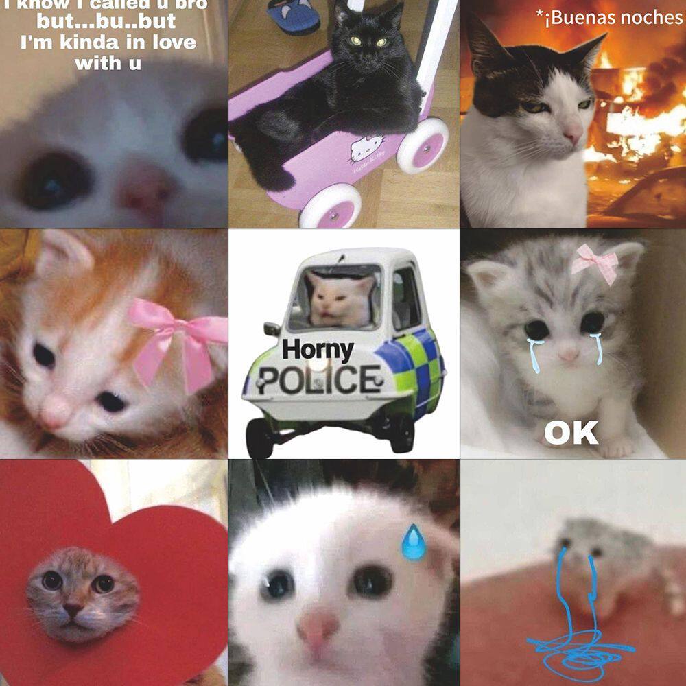 200张软萌卡哇伊搞怪猫咪ins风高颜值贴纸diy手机壳桌面趣味装饰